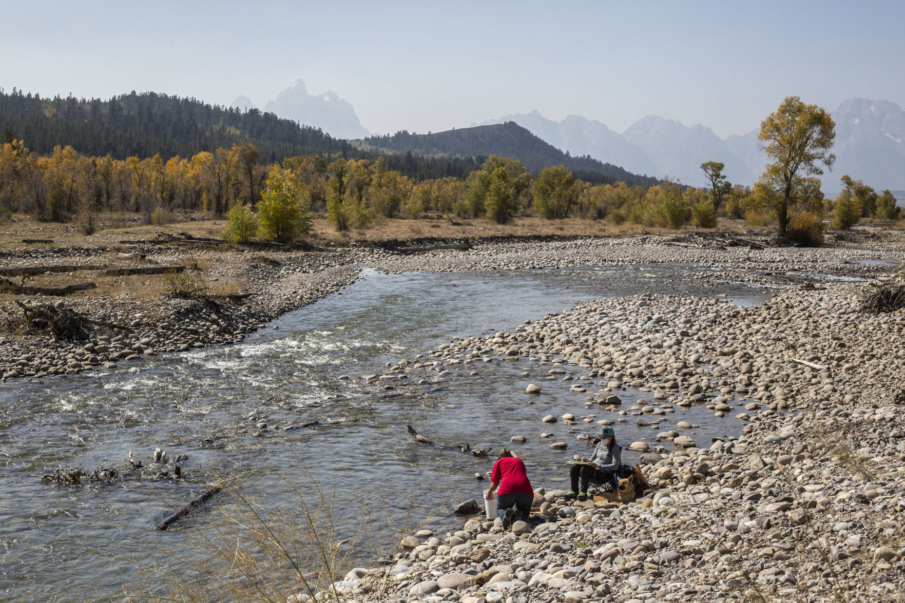Spread Creek diversion fish salvage